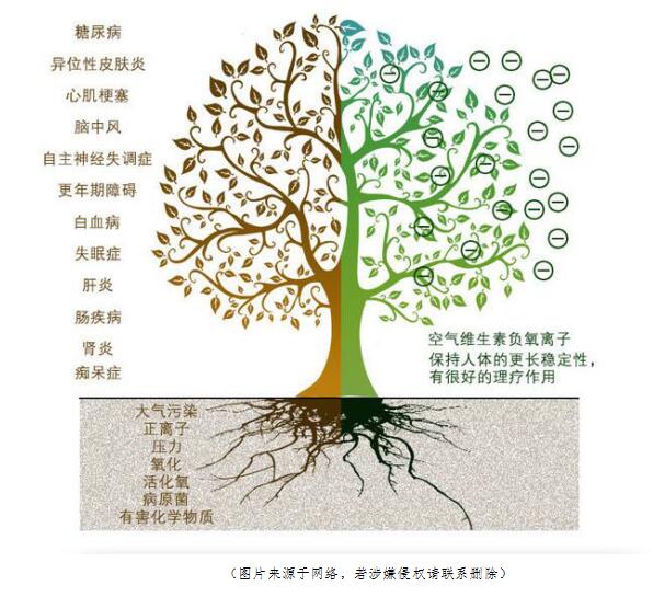 負(fù)氧離子作用.jpg