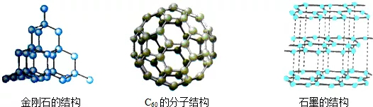多種結(jié)構(gòu).png